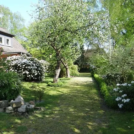Apartment In Lower Saxony Faßberg